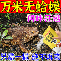 Toad toad toad exclusive artifact-driven outdoor pond river by grass stream lake drive toad toad