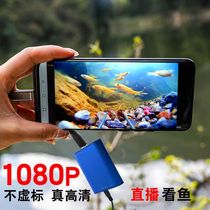 Underwater Fish Archives Underwater Probe Visual Fishing Camera HD Fishing Camera Live broadcast