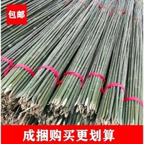 Small bamboo slim bamboo pole small bamboo pole Vegetable Climbing bamboo pole Shelf Planted Vegetable Garden with Bean Corner fence Fence Color Banner