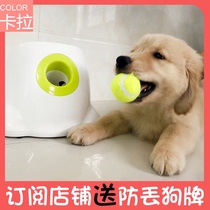 Dog toy ball tennis launcher automatic ball throwing ball serve pitching machine pinball machine Pet Net red ball thrower dog