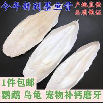 New items of cuttlefish bone parrot calcium molars tiger skin Xuanfeng bird turtle hamster calcium nibbling supplies