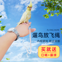 Parrot flying rope training rope bird rope towing rope walking bird rope flying rope bird ultra-light anklet foot ring