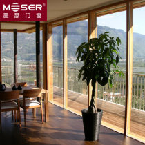 THERM wooden beam column structure curtain wall (wooden cable)