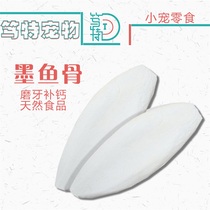 Large parrot cuttlefish bone hamster squirrel tortoise tortoise tortoise reptile calcium feeding turtle cuttlefish bone meal bird with grinding mouth