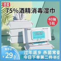 Bi c75%alcohol disinfection wipes Disposable hand wipe baby tableware toy sterilization portable 200 pieces