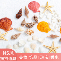 Photo Props Ins Nets Red Food Beauty Chia Cosmetics Photo Decoration SeaStar Shells Static Swing Pat Ornaments