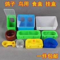 Pigeon trough supplies utensils carrier pigeon automatic leakage trough anti-spreading box bird food box sink long square trough trough