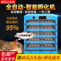 Hatchery large incubator small household automatic intelligent chicken incubator duck goose pigeon parrot incubator box