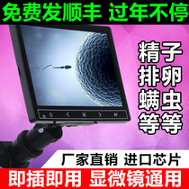 Factory direct sales without microscope display Universal 5 inch 7 inch 9 inch screen electronic eyepiece Photo Video