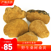 Yunnan Mulberry pure wild Phellinus 500g a catty of gold rim can be sliced non-Tibetan hole bacteria yellow Ganoderma lucidum dry goods
