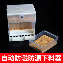 Tiger skin peony parrot automatic feeder feeder Bird food box Food trough Anti-spill and splash bird feeder Food bowl supplies