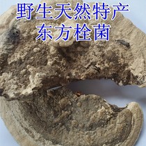 Northeast Changbai Mountain wild fungus Oriental bolt bacteria ash with bolted bacteria Natural special production 250 gr