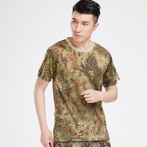 Outdoor Python quick-drying mesh T-shirt summer round neck male breathable short sleeve male and female students military training short sleeve men and women T