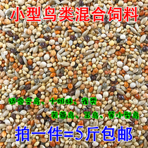 Colorful bird Hibiscus bird Canary bird Pearl bird Hibiscus bird Jade bird food Mixed bird food Bird food feed