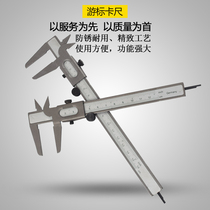 Stainless steel vernier caliper high precision mini oil standard caliper 0-120 160