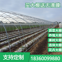 Greenhouse skeleton steel pipe vegetable planting poultry breeding simple conjoined elliptical tube custom accessories