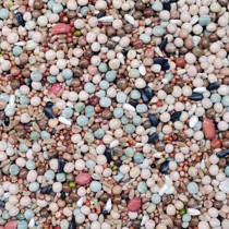 Pigeon grain without corn explosion young pigeon breeder universal pigeon feed bird food Pigeon Pigeon Pigeon grain 50kg