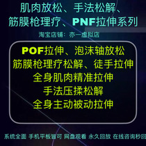 Private teaching fascia gun use course PNF stretch muscle soreness Improve running calf relaxation Improve flexibility