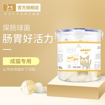 BOTH goats milk snacks into cat pudding 50 buckets of cat into cat pudding pet snacks into cat snack jelly