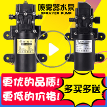 Rain Dew Huyue Electric Sprayer 12v Volt Pumping Oil Pumping Wine Washing Smart High Power Dual Motor Water Pump