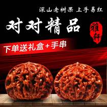 Wenwan Walnut Hand-playing Walnut Wenwan Lion Head Boutique Four Buildings Extra Large Official Cap Stuffed White Apple Orchard Hemp Walnut