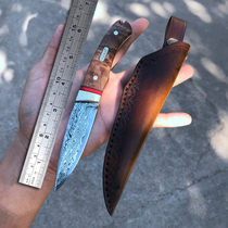 Export outdoor high hardness Japanese Damascus steel knife multifunctional self-defense small straight knife sharp survival military knife