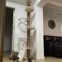 Cat Climbing Frame Tongtianzhu Luxury Cat Tree Cat Grab Wear-resistant Sisab Rope Space Capsule Homemade Material diy Cat Supplies