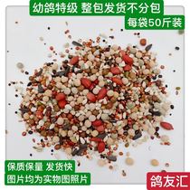 Special boutique young pigeons special A- grade feed bird food pigeon ornamental Pigeon Pigeon food per bag 50 Jin multi-province