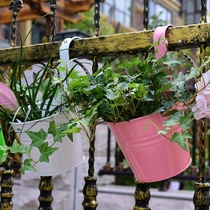 Balcony color tin hanging bucket adhesive hook detachable flowerpot tin bucket personality creative flower pot