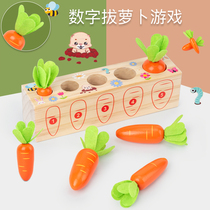 Montesus 1-3 years old children pull radish boys and girls space size matching wooden early education benefit intelligence toys