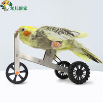 Beloved new home parrot bicycle bicycle bird toy set parrot toy training supplies educational toy