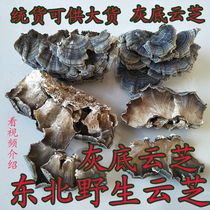 Northeast wild Yunzhi yellow Yunzhi wild Yunzhi Yunzhi Yunzhi mushroom gray bottom Yunzhi Yunzhi Yunzhi 500g