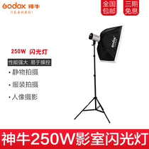 Shen Niu 250W Studio flash set Single light set Photography light Studio