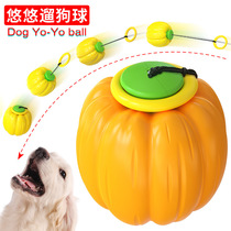 Pet supplies explosive dog molars bite-resistant ball pumpkin hand throw elastic toy ball