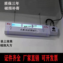 Explosion-proof mosquito-borne lamp Food factory chemical plant Fly Worm God Lamp Ultraviolet Pharmaceuticals Surface Powder Factory Explosion-Proof Fly Lamp