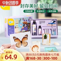 Gwiz childrens specimen making material butterfly insect animal plant Amber set puzzle handmade DIY toy