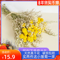 Baby's breath dried flower bouquet ins Nordic simple retro living room furniture decoration ornaments eternal cotton reed