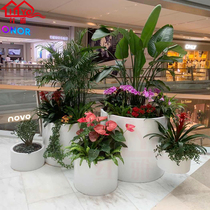 Creative shaped glass fiber reinforced plastic flower pot combination Mall hotel beautiful Chen flower outdoor square floor Flower Bowl flower box