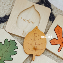 Mont Leaves Hand Grip Plate Shape Pairing Children Early Education Puzzle Toys 0-2 Year Old Baby Cognitive Enlightenment Teaching Aids