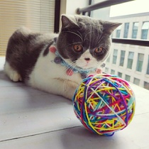 Cat toy ball Wool ball Self-high funny cat ball Interactive funny cat artifact Bite-resistant boring molar toys Cat supplies