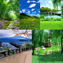 New live broadcast background Three-dimensional anchor wall cloth 3D landscape Prairie main bamboo forest outdoor landscape live broadcast curtain