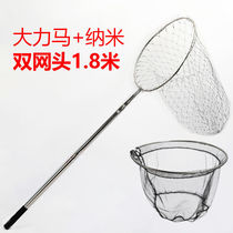 Pigeon catches net catch wild pigeon artifact pigeons copy nets catch pigeons pigeons pigeons pigeons pigeons pigeons pigeons pigeons pigeons pigeons young pigeons