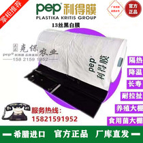 pep Leide film Black White film edible fungus film agricultural film greenhouse film heat insulation cooling reflective film culture greenhouse