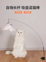 Cat toys cat sticks feathers bite-Resistant Belt Bell sucker self-relief lazy steel wire automatic cat teasing supplies
