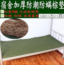 Coconut brown silk mattress green military training college student Hospital moisture-proof single brown silk brown mat environmentally friendly breathable student brown mat