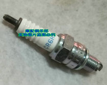 Suitable for Yamaha Tianjian 125 Fufa Juvena Qiaoge Fuxi 100 spark plug CR6HSA factory