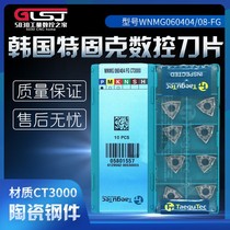 Korea Tegek CNC Blade WNMG060404 08-FG CT3000 CerMet peach shaped small blade