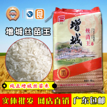 Pure Zengcheng Silk Miao Wang Si Miao Rice Long Grain Fragrant Rice 15kg Silk Miao Rice Guangdong Soft Fragrant Rice 30 Jin