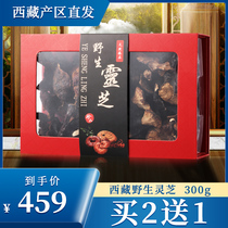 (Tibet wild Ganoderma lucidum) authentic Linzhi Bumi County Wild Super Ganoderma lucidum 300g