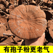 Guangdong Ganoderma lucidum dry semi-wild spore powder 500g pruned Super sparkling wine purple Linzhi black Ganoderma lucidum tablets imitation Wild
